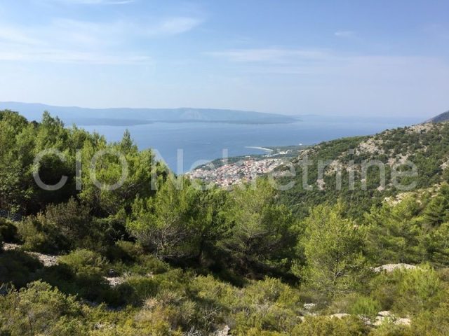 Pozemek na prodej 130000 m² – Bol