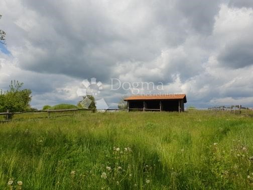 Terreno In vendita - ISTARSKA  PAZIN 