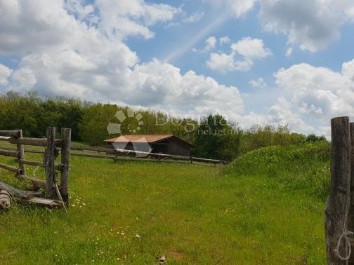 Land For sale - ISTARSKA  PAZIN 