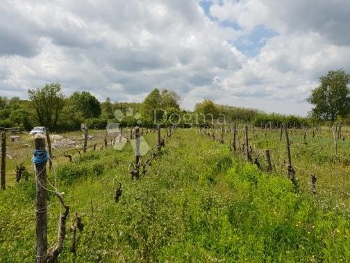 Grundstück Zu verkaufen - ISTARSKA  PAZIN 