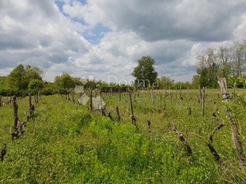 Działka Na sprzedaż - ISTARSKA  PAZIN 