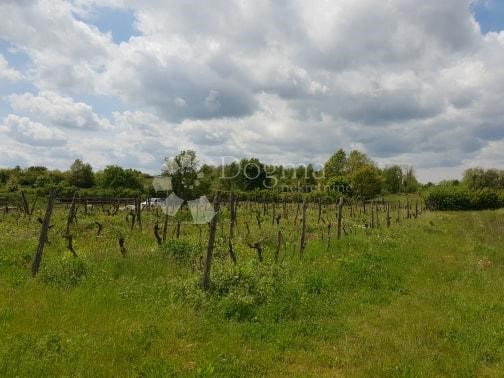 Terreno In vendita - ISTARSKA  PAZIN 