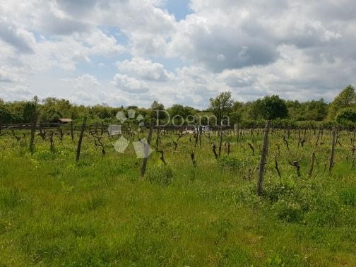 Land For sale - ISTARSKA  PAZIN 