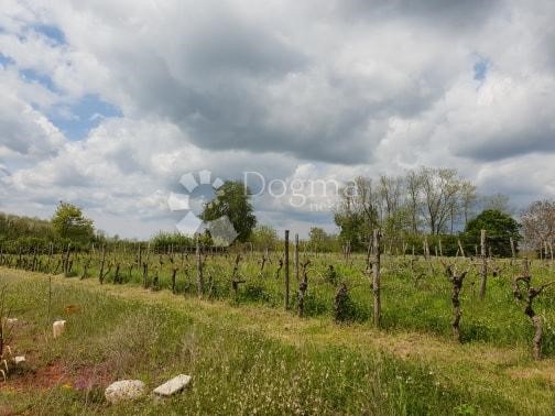 Land For sale - ISTARSKA  PAZIN 