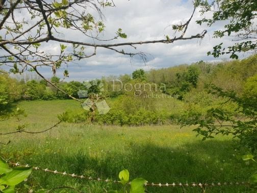 Land For sale - ISTARSKA  PAZIN 