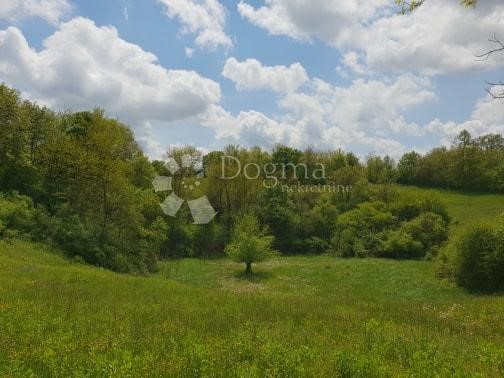 Land For sale - ISTARSKA  PAZIN 