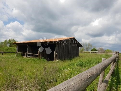 Terreno In vendita - ISTARSKA  PAZIN 