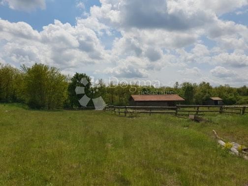 Land For sale - ISTARSKA  PAZIN 