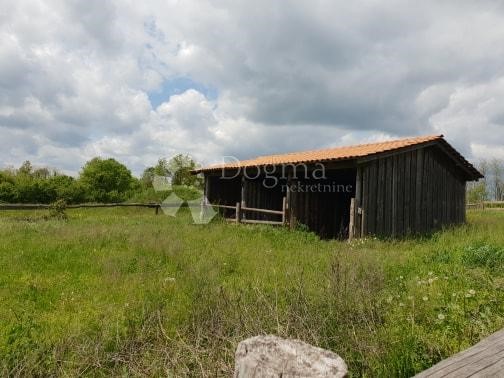 Działka Na sprzedaż - ISTARSKA  PAZIN 