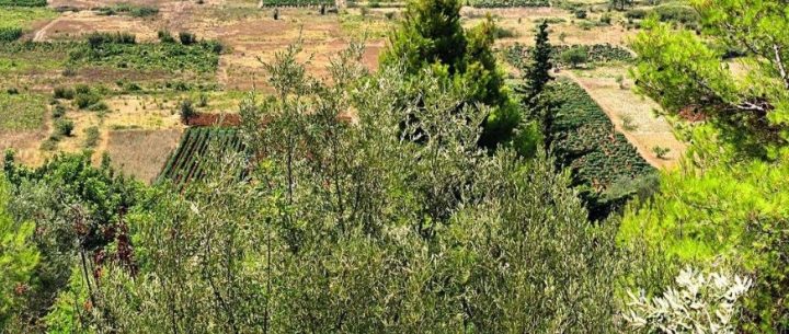 Land for sale 762 m² – Dubrovnik