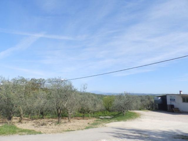 House For sale - Istarska Buje - foto 4/15