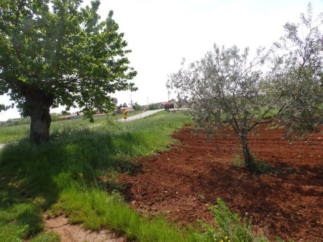 Land for sale 9531 m² – Petrovija