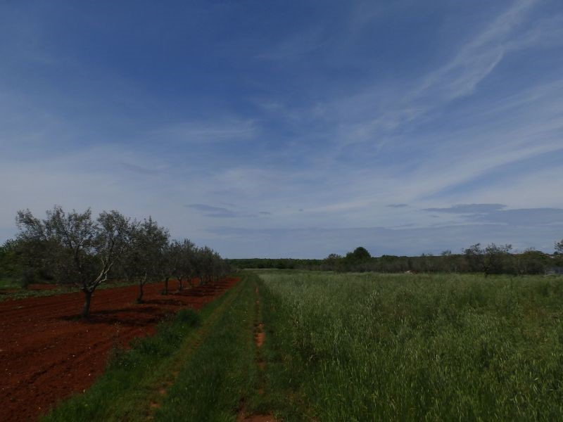 Terrain À vendre - ISTARSKA  UMAG 