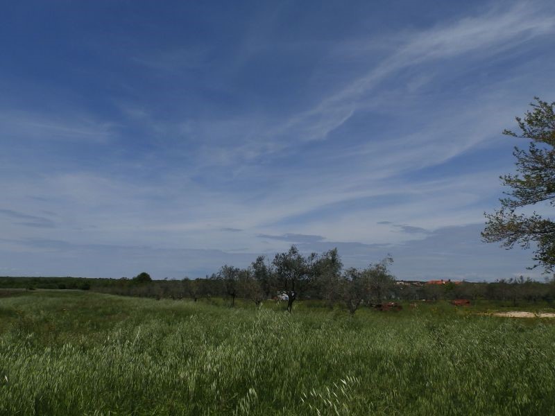 Land For sale - ISTARSKA  UMAG 