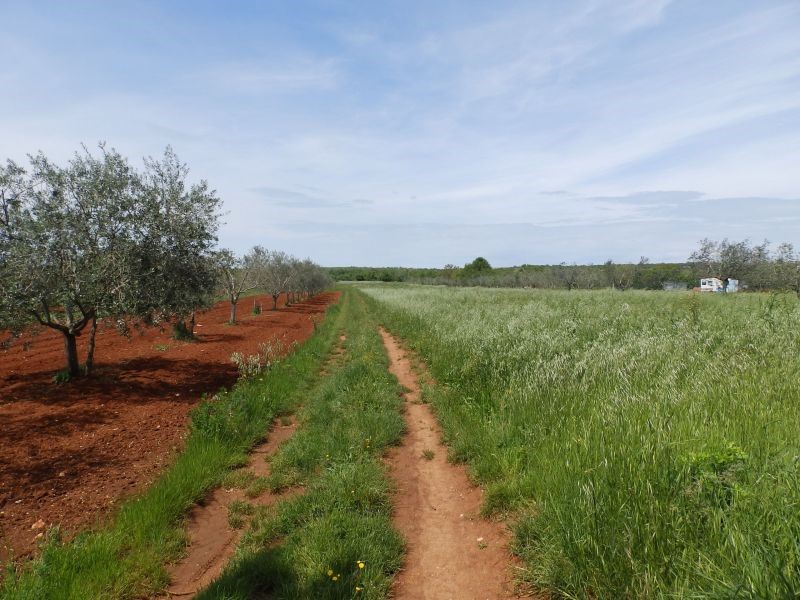 Parcela Naprodaj - ISTARSKA  Umag