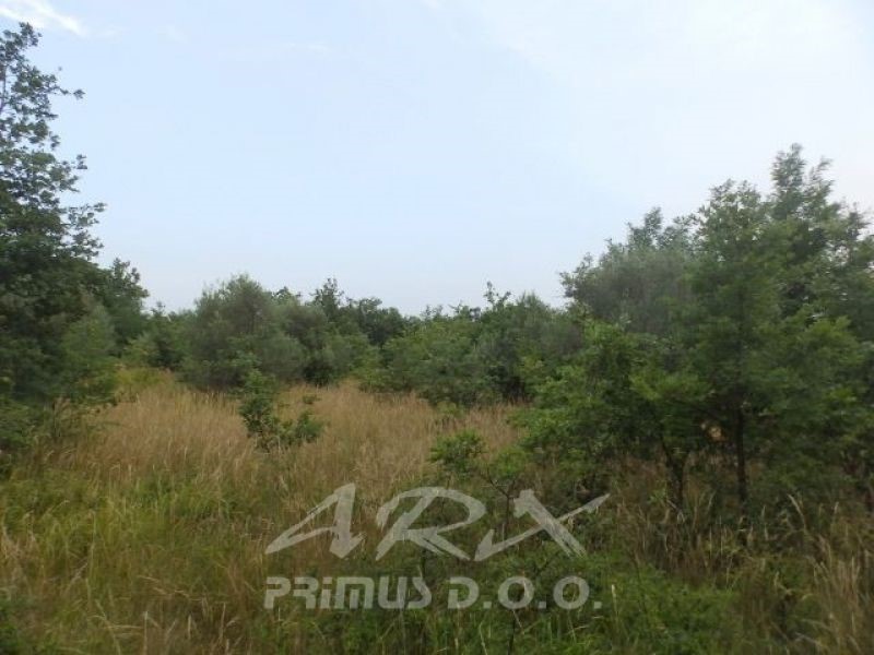 Land For sale - Istarska Umag - foto 1/8