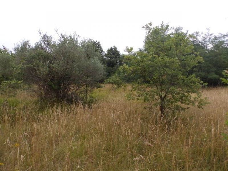 Land For sale - Istarska Umag - foto 2/8