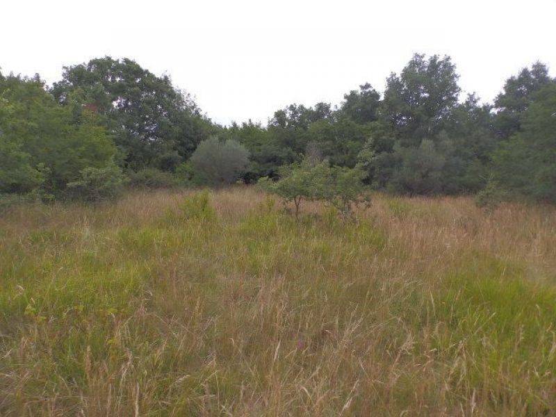 Land For sale - Istarska Umag - foto 3/8