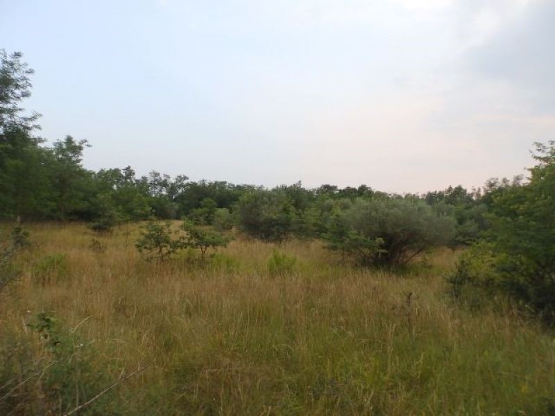 Land For sale - Istarska Umag - foto 4/8