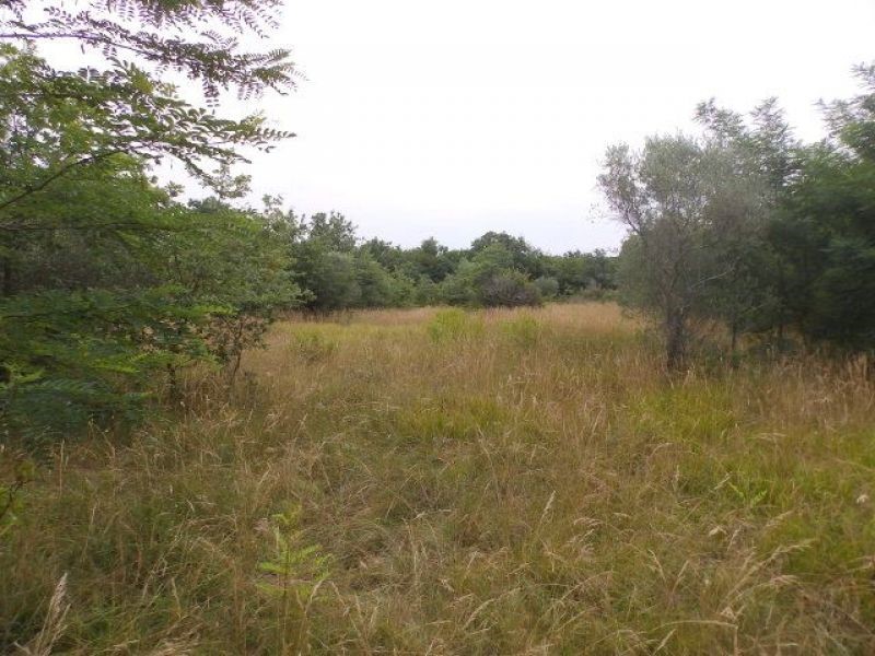 Land For sale - Istarska Umag - foto 5/8