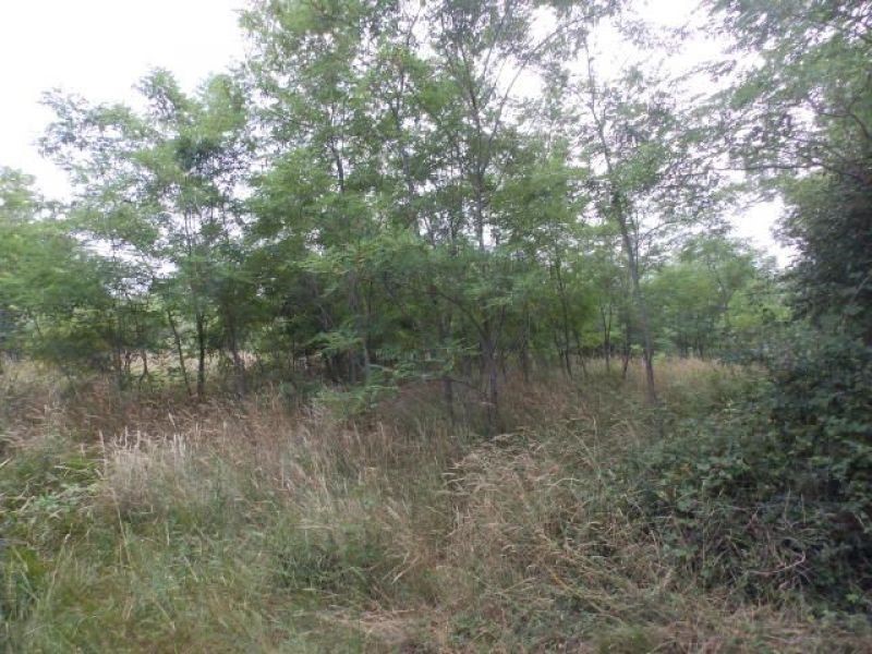 Land For sale - ISTARSKA  UMAG 
