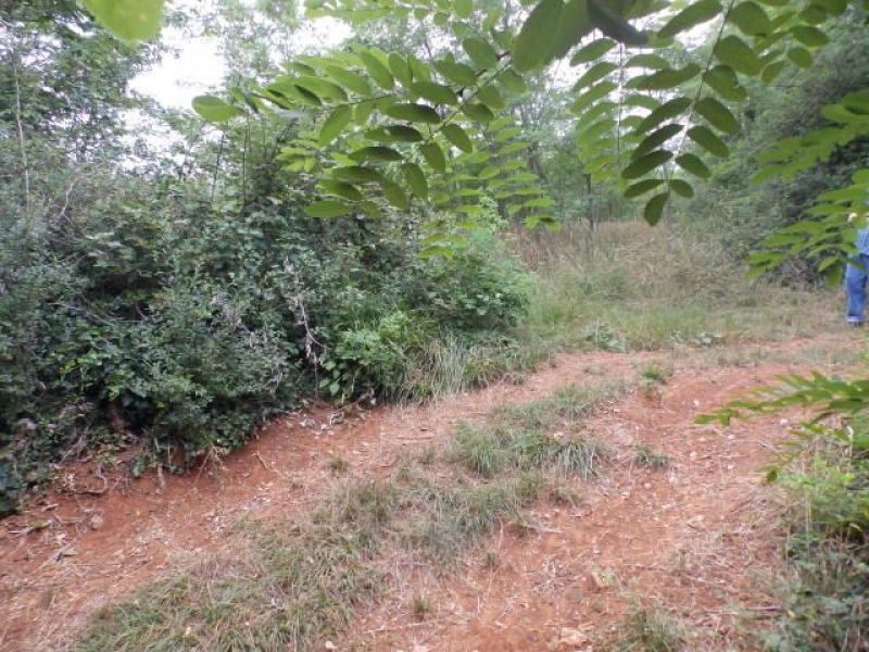 Land For sale - ISTARSKA  UMAG 