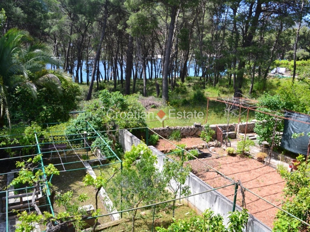 House For sale - SPLITSKO-DALMATINSKA  HVAR 