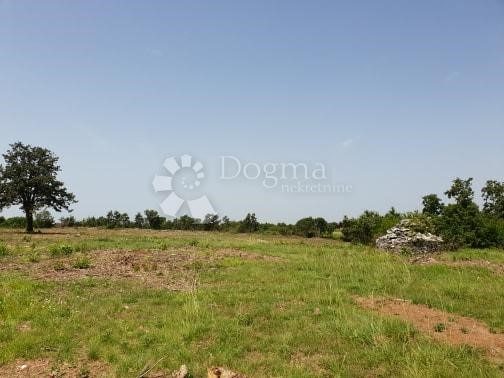 Land for sale 11814 m² – Svetvinčenat