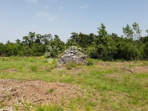 Pozemok Na predaj - ISTARSKA  SVETVINČENAT 