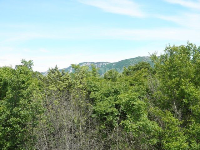 Land for sale 44000 m² – Labin