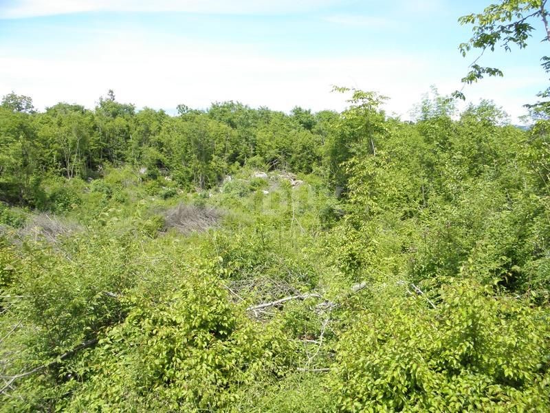 Land For sale - ISTARSKA  LABIN 