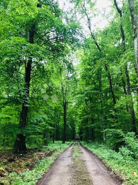 Terreno In vendita - ZAGREBAČKA  DUBRAVA 