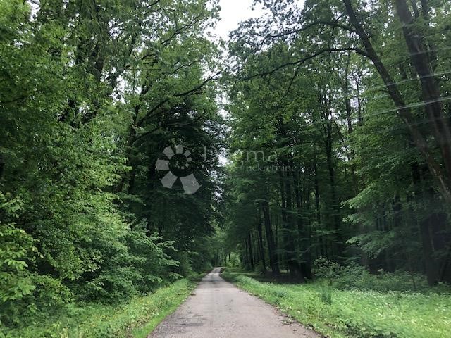 Terreno In vendita - ZAGREBAČKA  DUBRAVA 