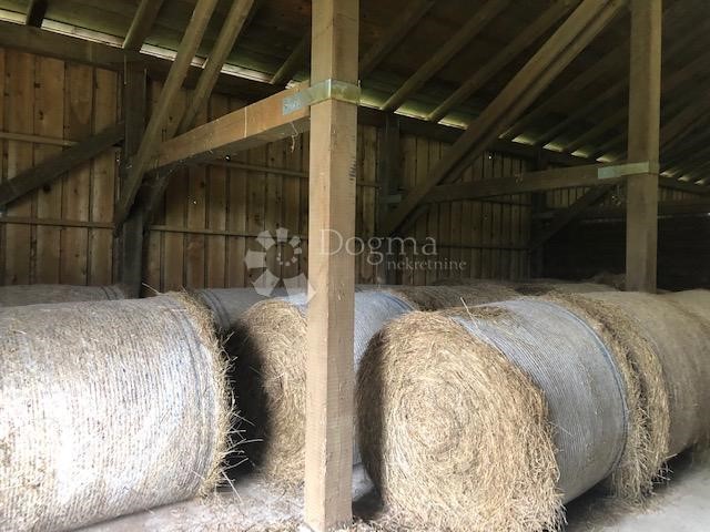 Terreno In vendita - ZAGREBAČKA  DUBRAVA 