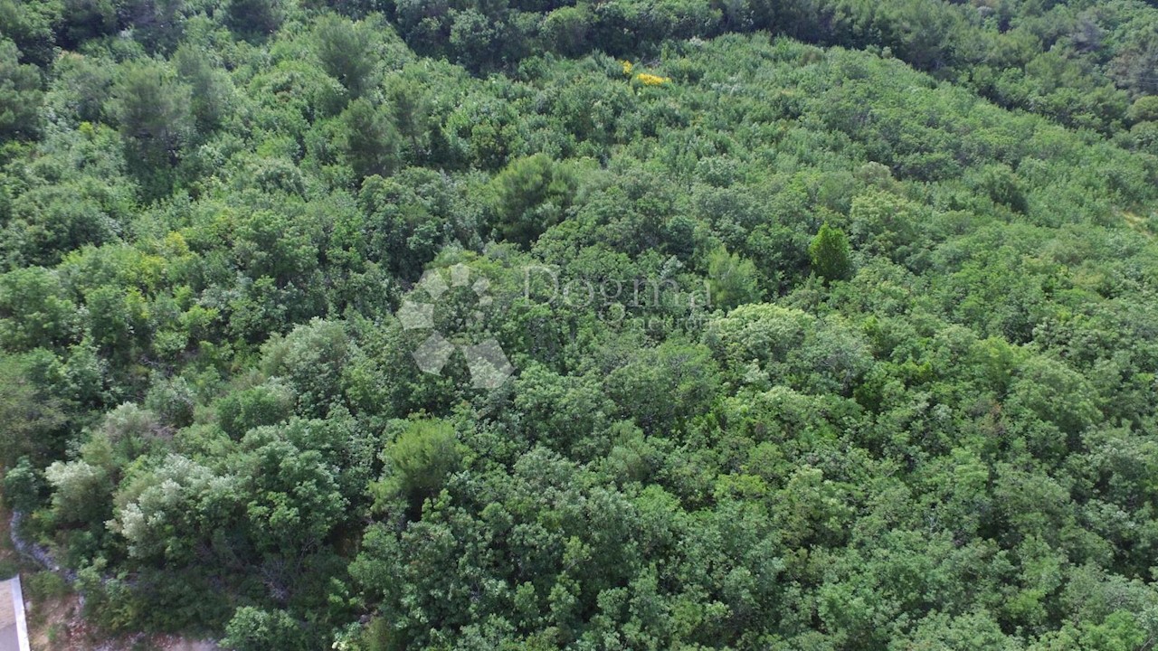 Land For sale - ISTARSKA  RAŠA 