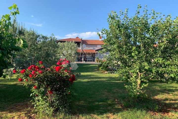 Maison À vendre - Istarska Bale - foto 4/37