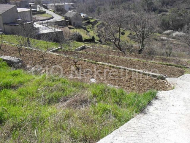 Pozemok na predaj 1000 m² – Zvečanje