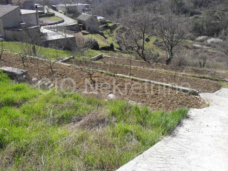Land For sale ZVEČANJE