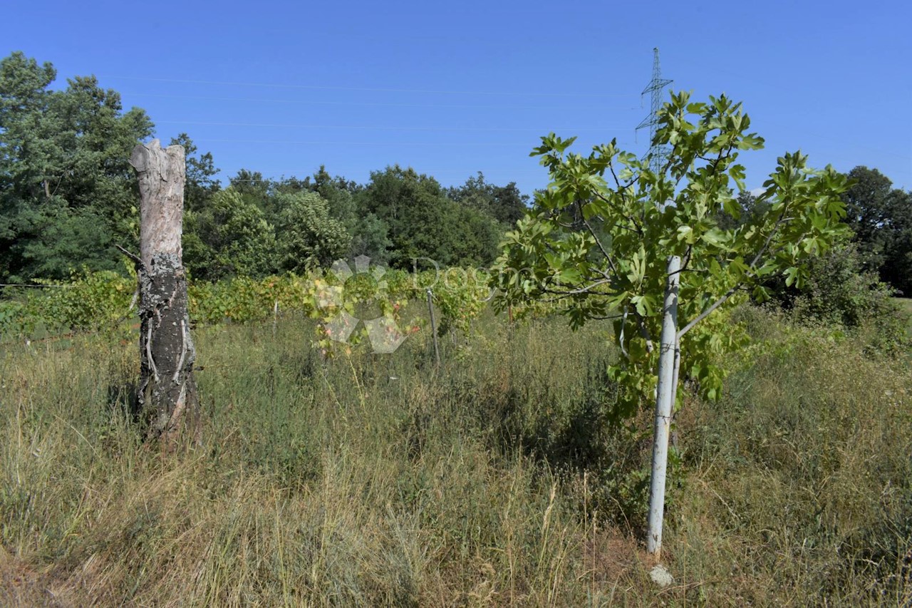 Terreno In vendita