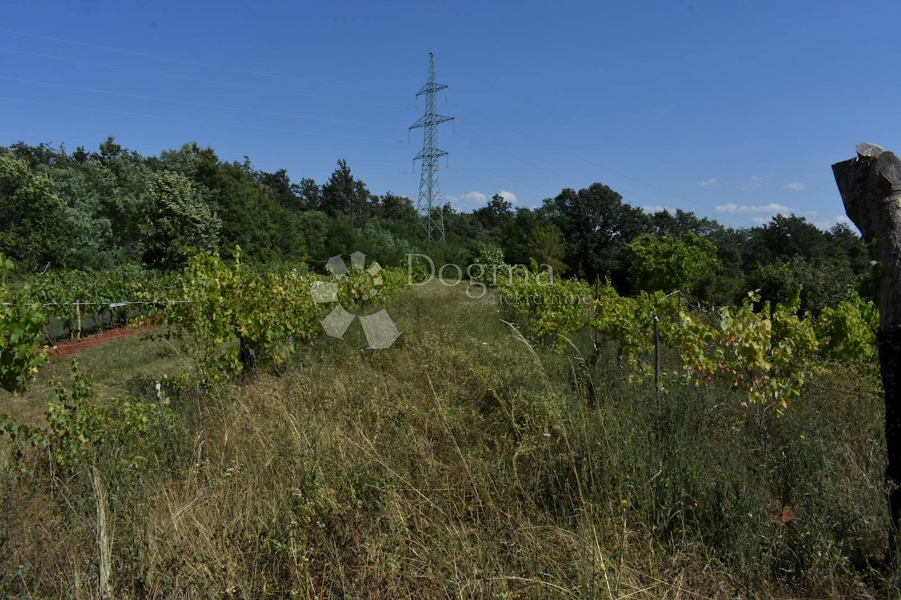 Terreno In vendita - ISTARSKA  SVETA NEDELJA 