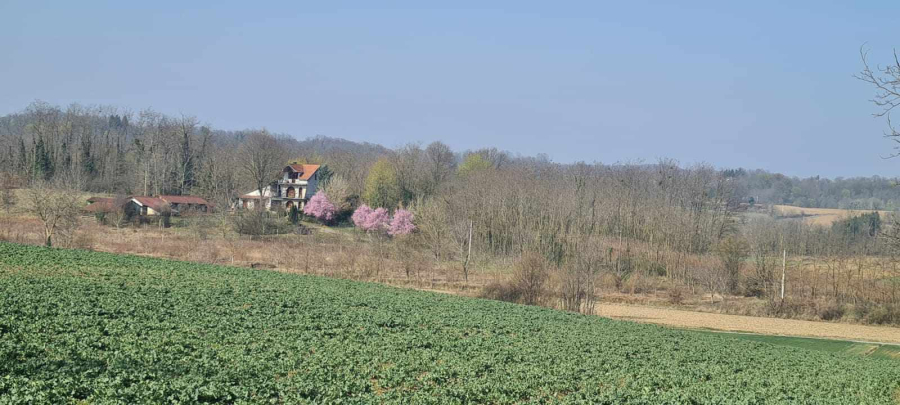 Hiša Naprodaj - Koprivničko-križevačka Đurđevac
