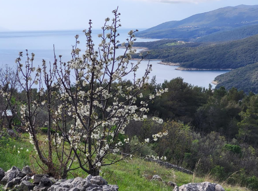 Terreno In vendita - - foto 3/4
