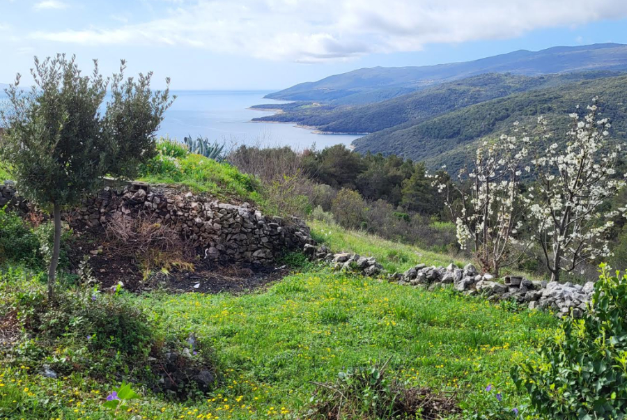 Terreno In vendita - - foto 4/4