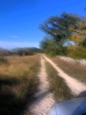 Parcela Na predaj - Istarska Svetvinčenat - foto 5/10