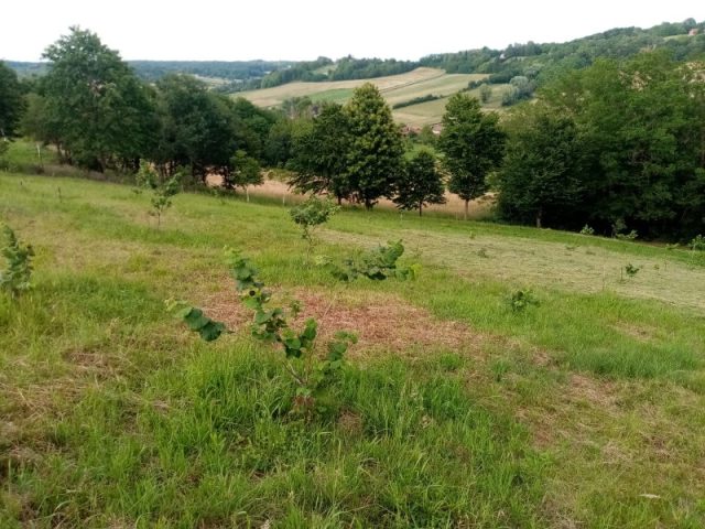 Działka Na sprzedaż - Bjelovarsko-bilogorska Kapela - foto 2/15