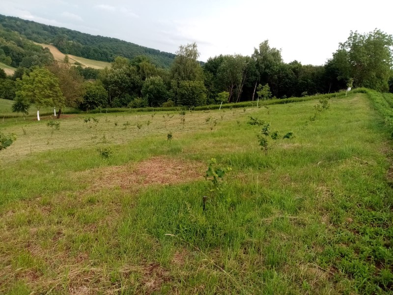 Działka Na sprzedaż JABUČETA