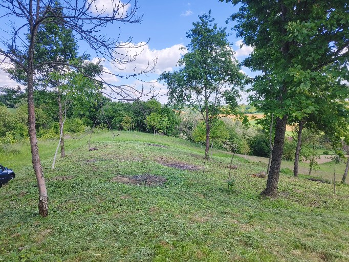 Zemljište Na prodaju - Bjelovarsko-bilogorska Kapela