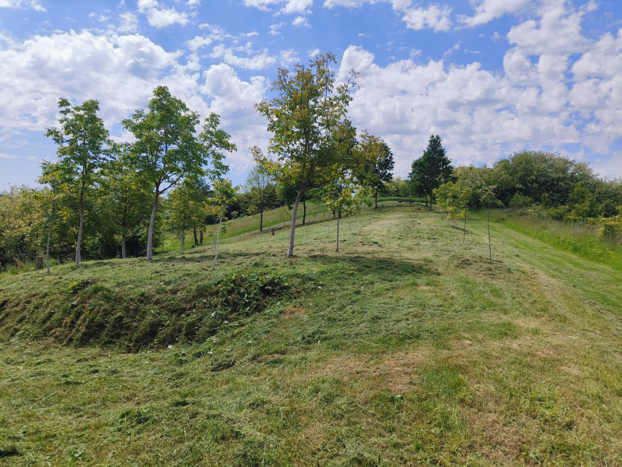 Zemljište Na prodaju - Bjelovarsko-bilogorska Kapela