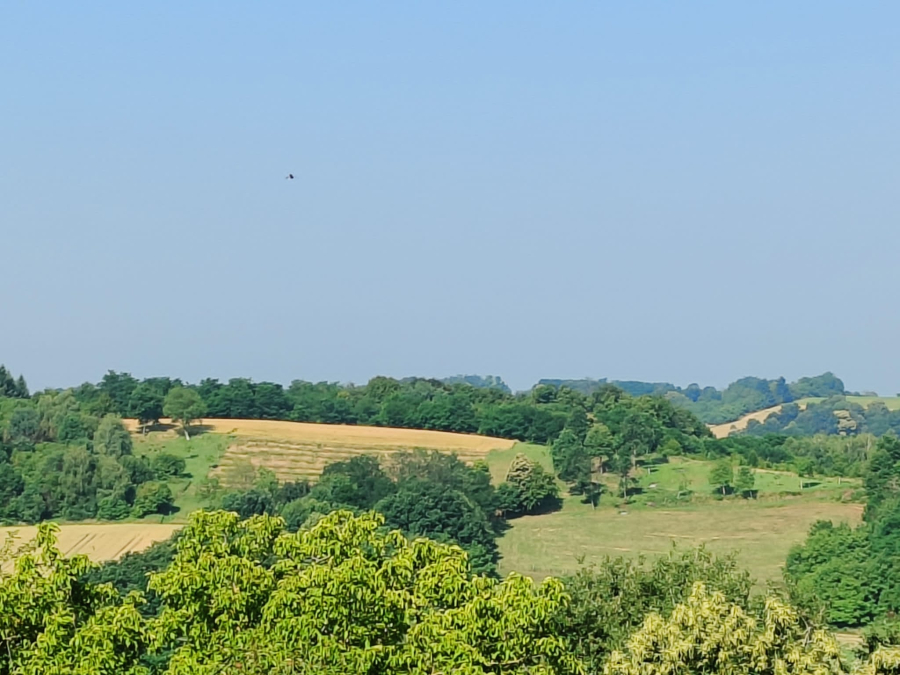 Działka Na sprzedaż - Bjelovarsko-bilogorska Kapela