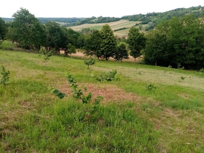Zemljište Na prodaju - Bjelovarsko-bilogorska Kapela